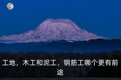 工地，木工和泥工，鋼筋工哪個更有前途