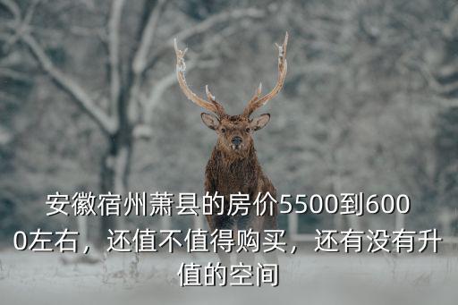 安徽蕭縣虎山附近的房價多少,安徽蕭縣的房子值得買嗎