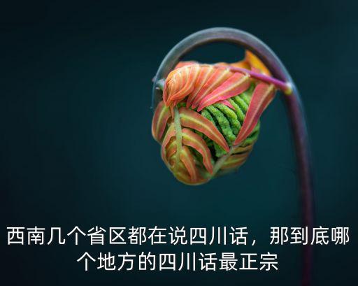 四川話哪里人最正宗,最正宗的四川話是成都話嗎