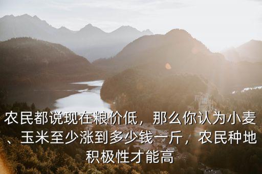 一八年聯盟復合肥多少錢一斤現在,玉米至少漲到多少錢一斤