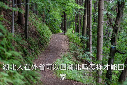 湖北人在外省可以回湖北嗎怎樣才能回家