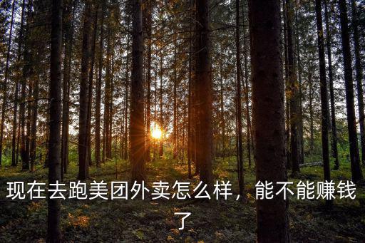 商丘市美團外賣怎么樣,美團外賣的單量怎么樣呢