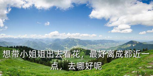 成都雙流哪里看菜花好,哪里的油菜花好看