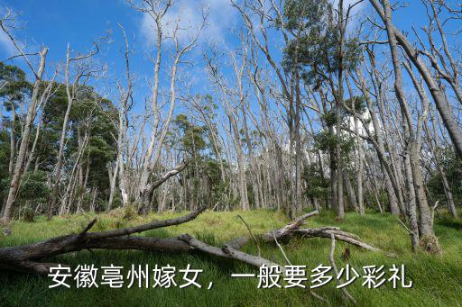 安徽靈璧結婚彩禮一般多少錢,安徽淮北市結婚彩禮錢是多少