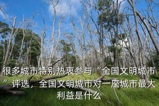 很多城市特別熱衷參與“全國文明城市”評(píng)選，全國文明城市對(duì)一座城市最大利益是什么