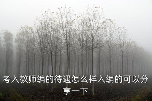 考入教師編的待遇怎么樣入編的可以分享一下