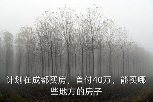 計劃在成都買房，首付40萬，能買哪些地方的房子