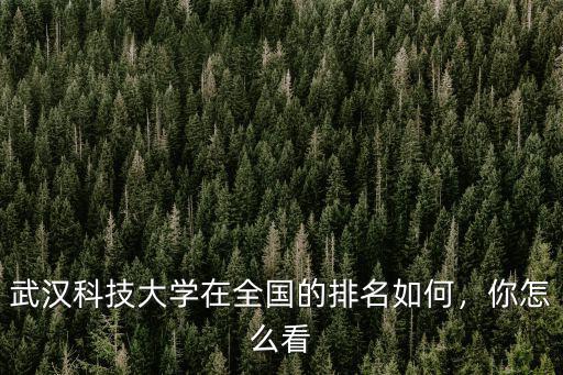 武漢科技大學在全國的排名如何，你怎么看