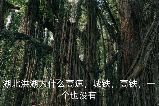怎么介紹湖北洪湖,湖北洪湖為什么高速