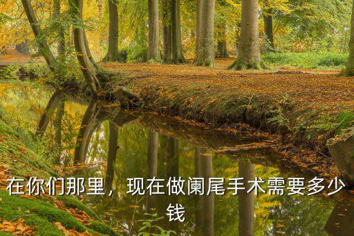 合肥中醫院闌尾手術多少錢,現在做闌尾手術需要多少錢