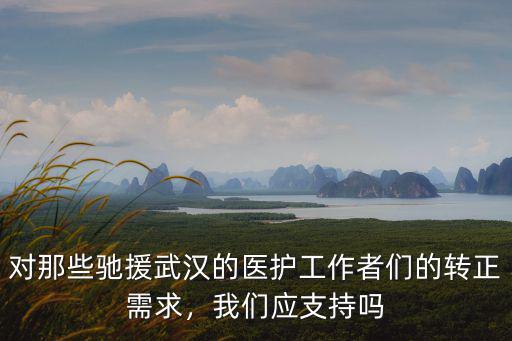 怎么才能報名馳援武漢,遼籃球迷馳援武漢回歸