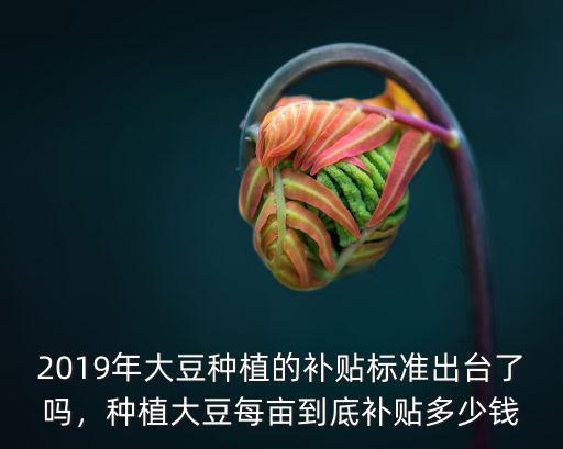 2019年大豆種植的補貼標準出臺了嗎，種植大豆每畝到底補貼多少錢