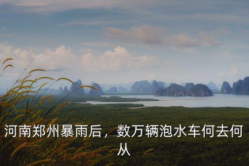 河南鄭州暴雨后，數萬輛泡水車何去何從