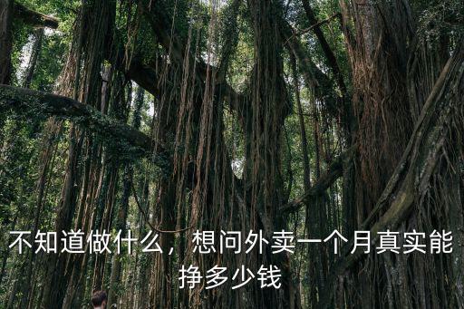 合肥外賣一個月能掙多少錢,一般一個月可以賺多少錢