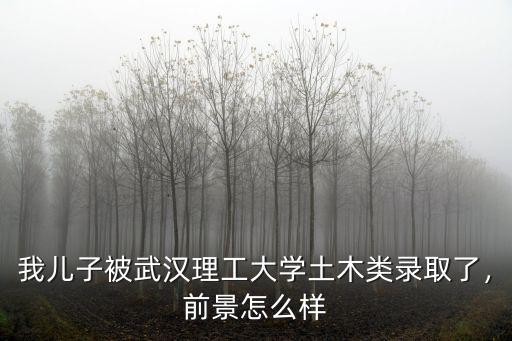 武漢理工大學土木類怎么樣啊,武漢理工大學