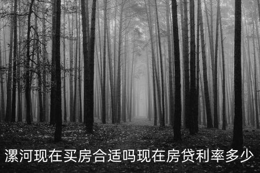 漯河現在買房合適嗎現在房貸利率多少