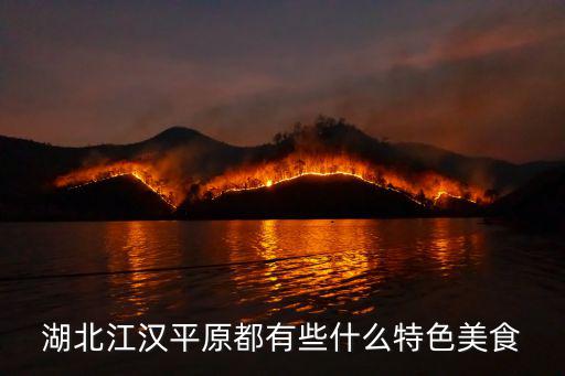 湖北江漢平原粽子怎么包,誰知道粽子怎么包最好吃