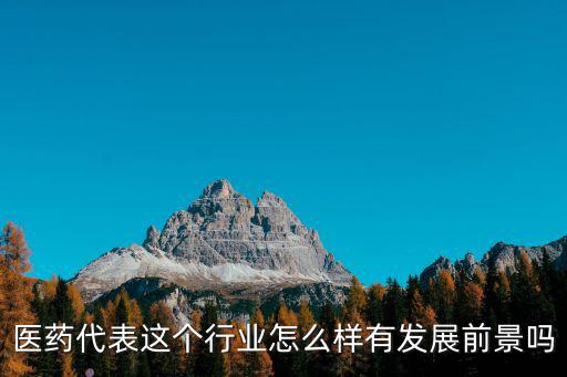 湖北醫藥醫藥代表待遇怎么樣,醫藥代表工作怎么樣