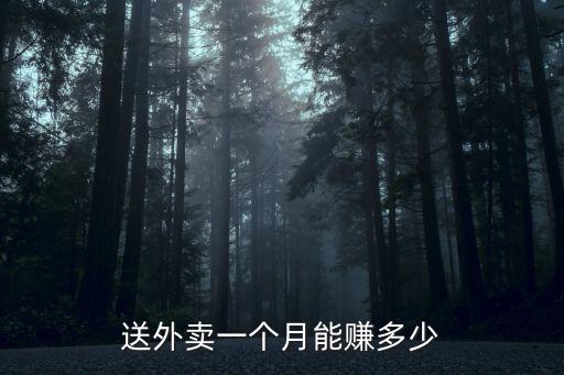 合肥濱湖送外賣一個月能賺多少,送外賣一個月能賺多少