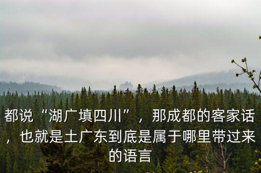 成都市姚姓哪里來的,成都的天府新區在哪里