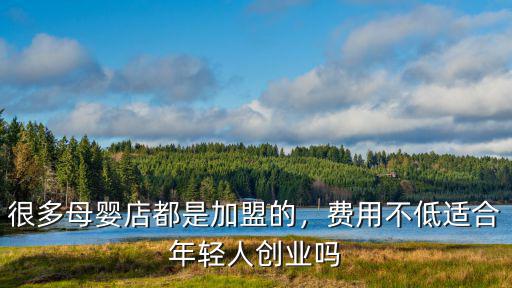 很多母嬰店都是加盟的，費用不低適合年輕人創(chuàng)業(yè)嗎