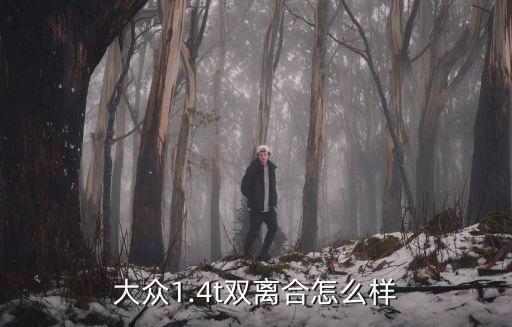 武漢大眾行怎么樣,大眾1.4t雙離合怎么樣