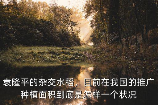 袁隆平的雜交水稻，目前在我國的推廣種植面積到底是怎樣一個狀況