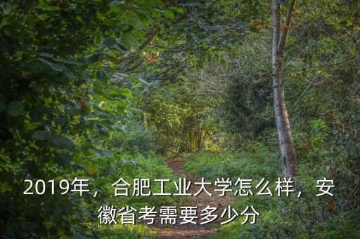 合肥工大多少分,安徽省考需要多少分