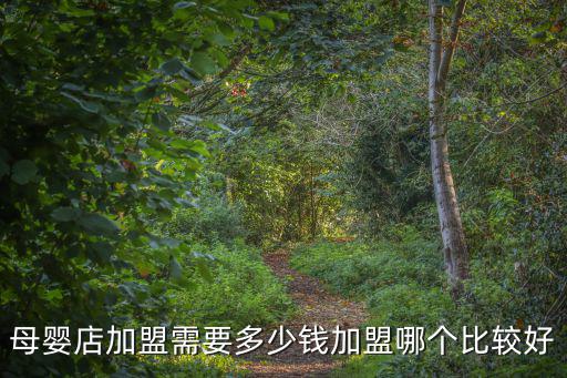 蕪湖母嬰店加盟需要多少錢,加盟哪個比較好