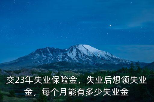 衡水失業(yè)保險(xiǎn)金有多少,交23年失業(yè)保險(xiǎn)金