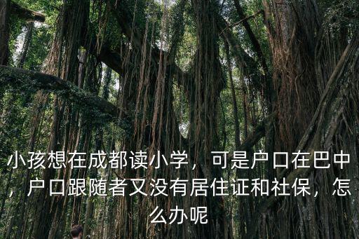 若風(fēng)在巴中的希望小學(xué)在哪里,可是戶口在巴中