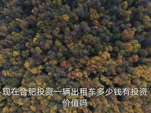 現(xiàn)在合肥投資一輛出租車多少錢有投資價(jià)值嗎