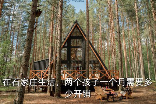 在石家莊生活，兩個孩子一個月需要多少開銷