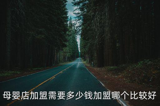 河北母嬰店加盟多少錢,母嬰店加盟需要多少錢
