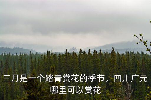 三月是一個踏青賞花的季節，四川廣元哪里可以賞花