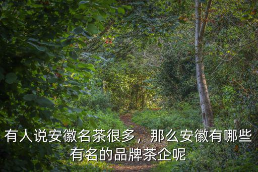 全國的名茶安徽占有多少,有人說安徽名茶很多