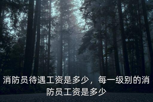 淮南市消防員工資多少,消防員待遇工資是多少