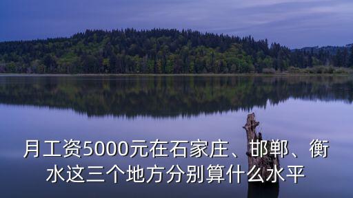 石家莊杜文歡月工資大約多少,月工資5000元在石家莊