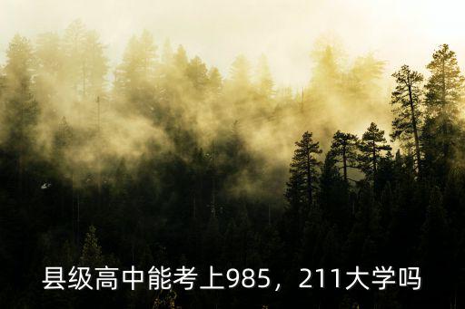 邢臺一中考上211大學有多少,211大學嗎