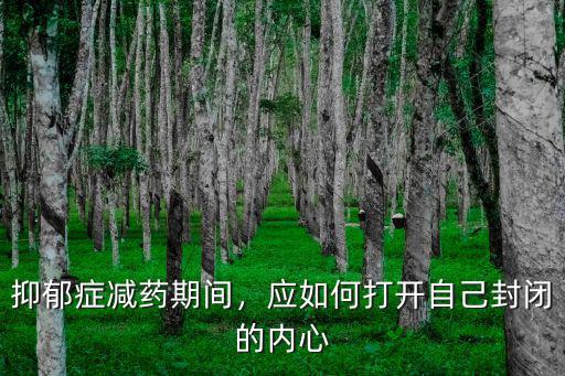 抑郁癥減藥期間，應如何打開自己封閉的內心