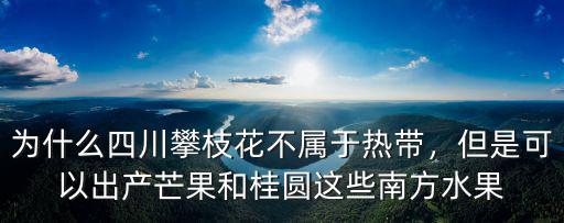 四川哪里適合種芒果,芒果適合在四川種植嗎