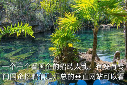 一個一個看國企的招聘太亂，有沒有專門國企招聘信息匯總的垂直網站可以看