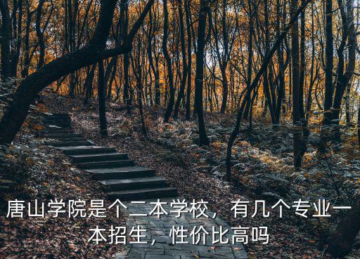 唐山學院是個二本學校，有幾個專業一本招生，性價比高嗎