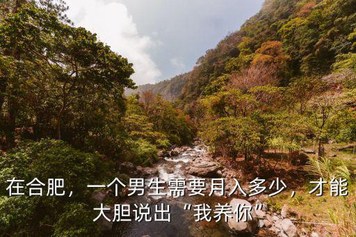 在合肥，一個男生需要月入多少，才能大膽說出“我養你”