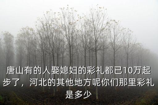 唐山有的人娶媳婦的彩禮都已10萬起步了，河北的其他地方呢你們那里彩禮是多少