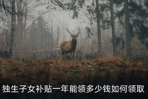 獨生子女補貼一年能領多少錢如何領取