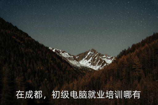 在成都，初級電腦就業培訓哪有