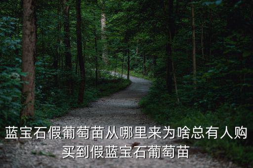 成都哪里有賣藍寶石葡萄,藍寶石假葡萄苗從哪里來