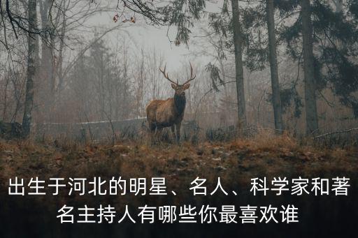 河北的主持人有多少,出生于河北的明星