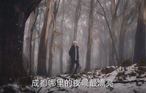 成都哪里的噴泉好看,成都哪里的夜景最漂亮